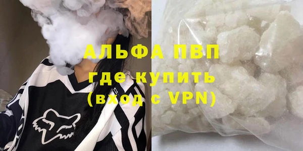 стафф Покачи