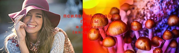 мяу мяу мука Покровск