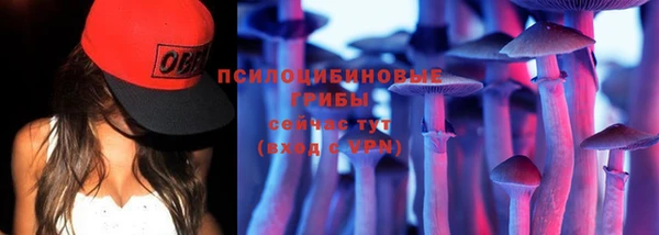 мяу мяу мука Покровск