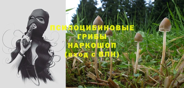 мяу мяу мука Покровск