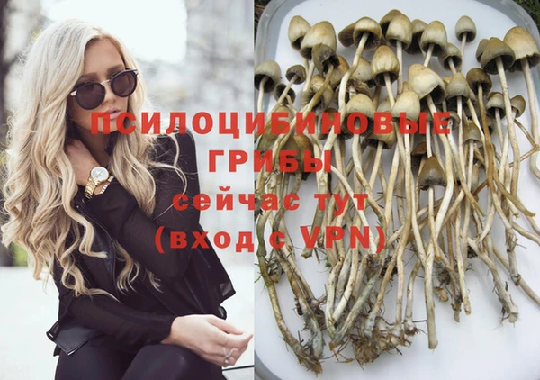 стафф Покачи