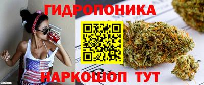 a pvp Пенза