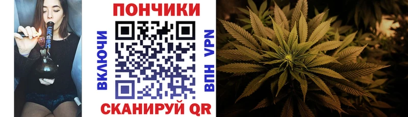 Конопля семена  Советск 